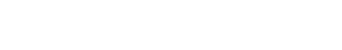 SCHWARZWERK INK
